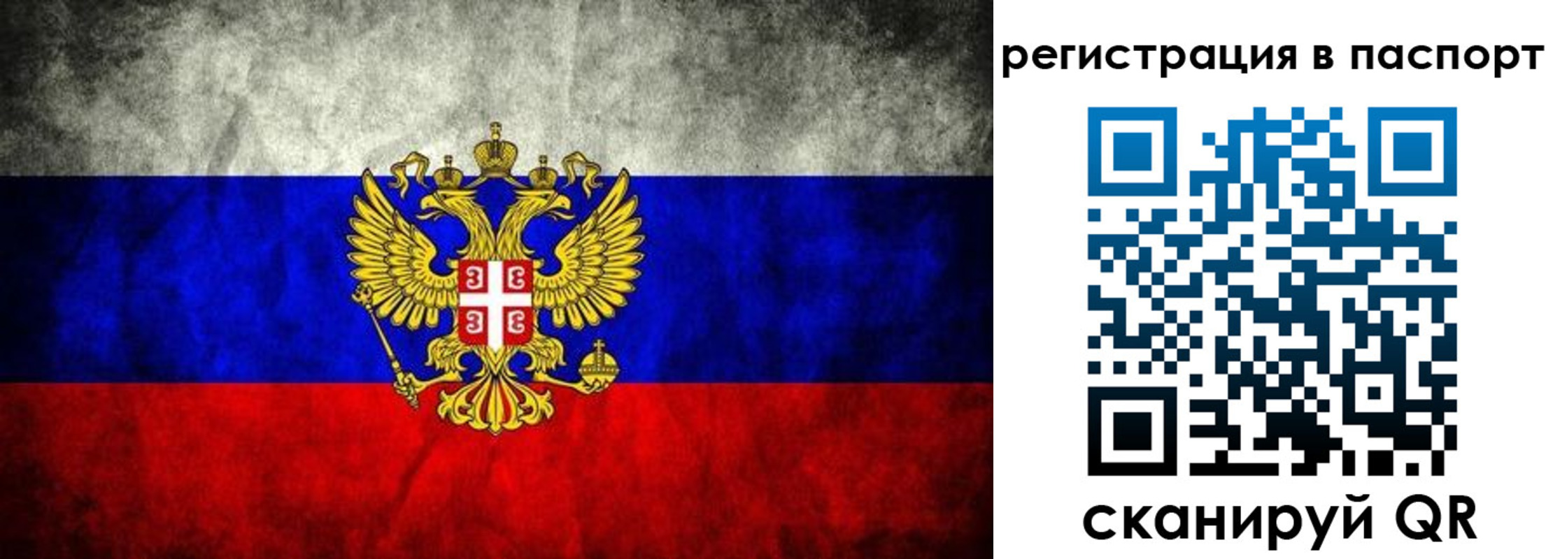 прописка законно в Новороссийске